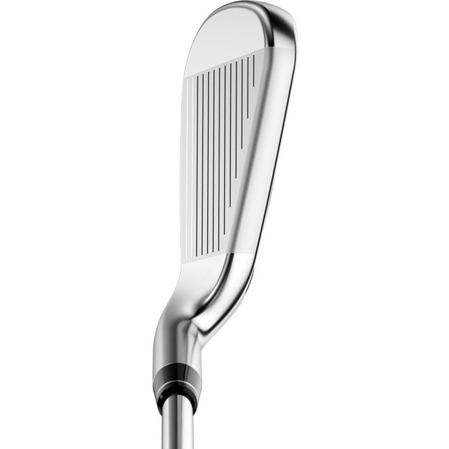 Callaway Série de Fer Big Bertha B21 shaft graphite