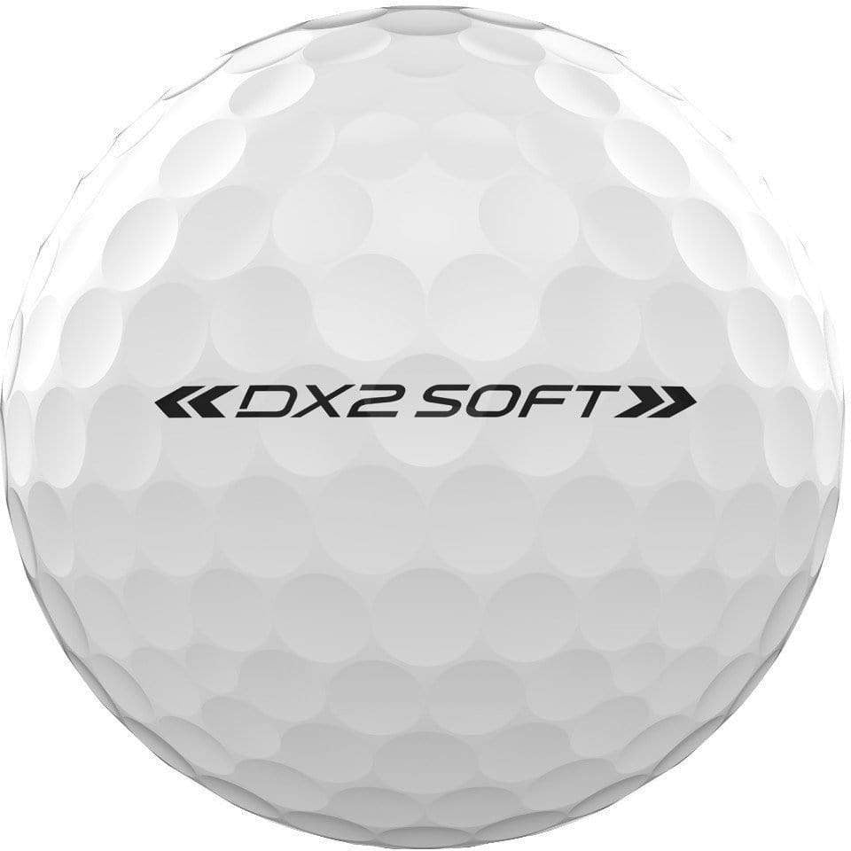 Wilson Balles DX2 Soft blanche (boite de 12)